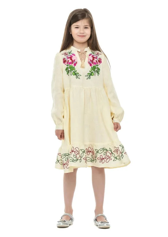 Stylish embroidered dress for girl