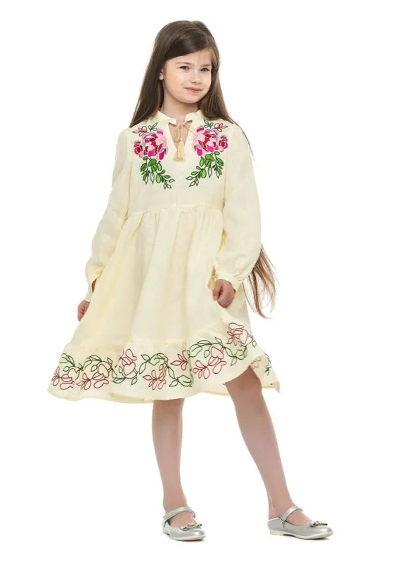Stylish embroidered dress for girl