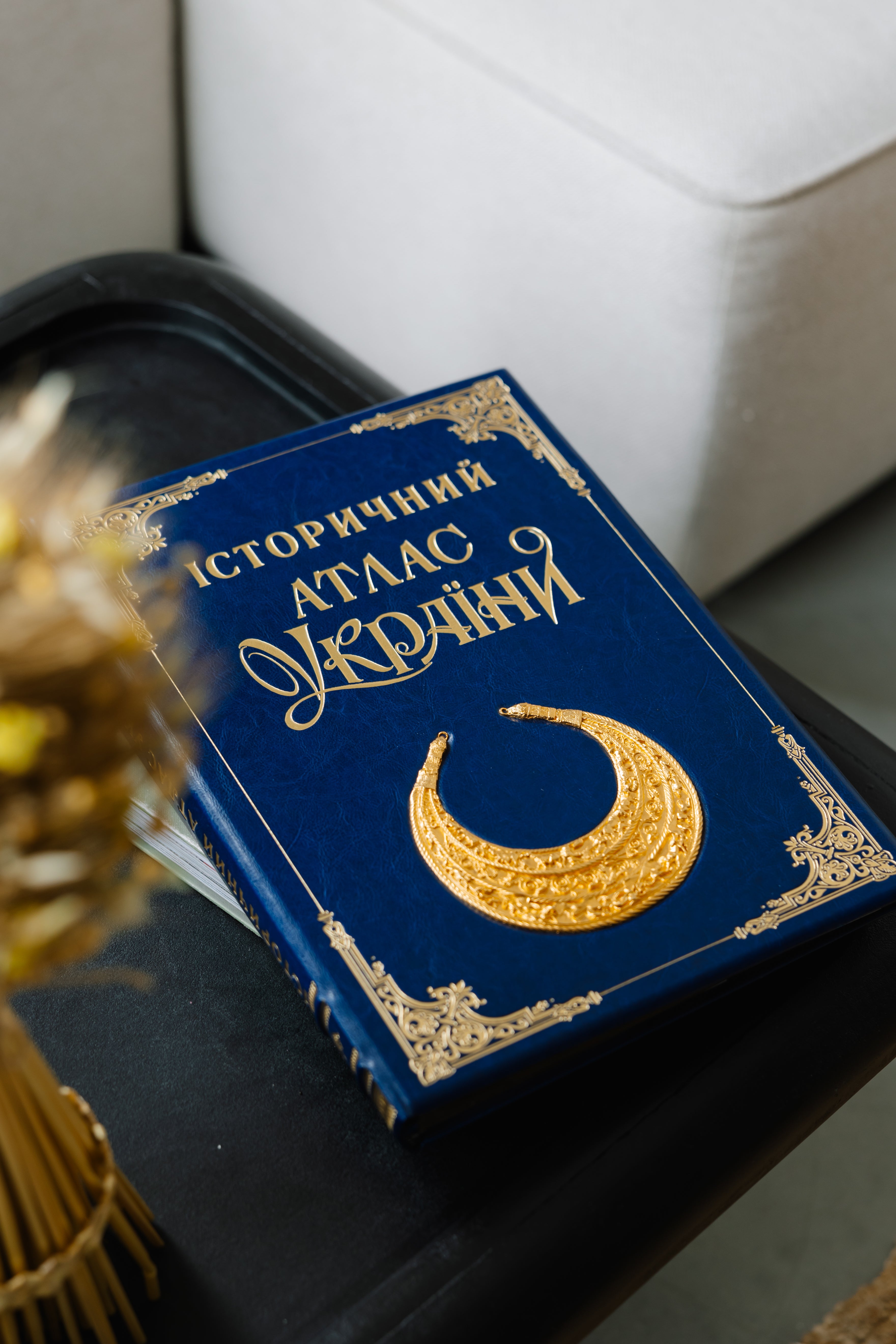 Book Historical atlas of Ukraine